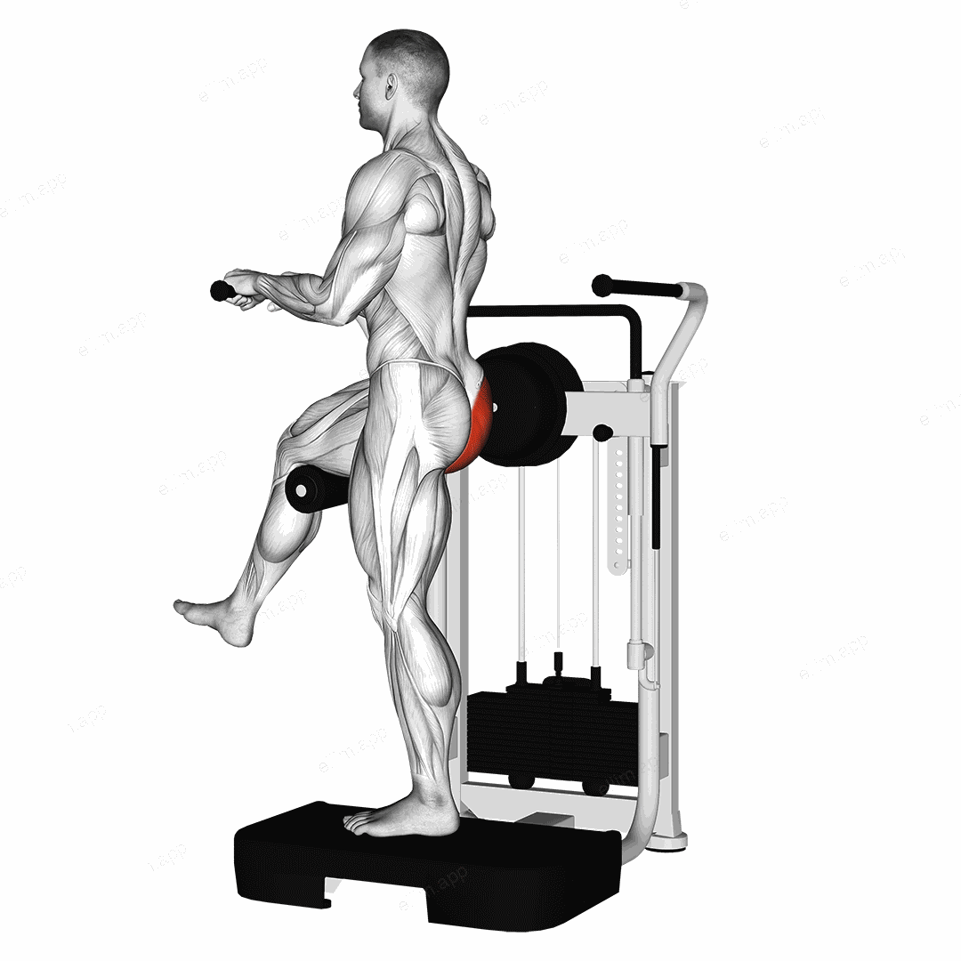 Lever Standing Rear Kick exercise targeting Hips and Gluteus Maximus