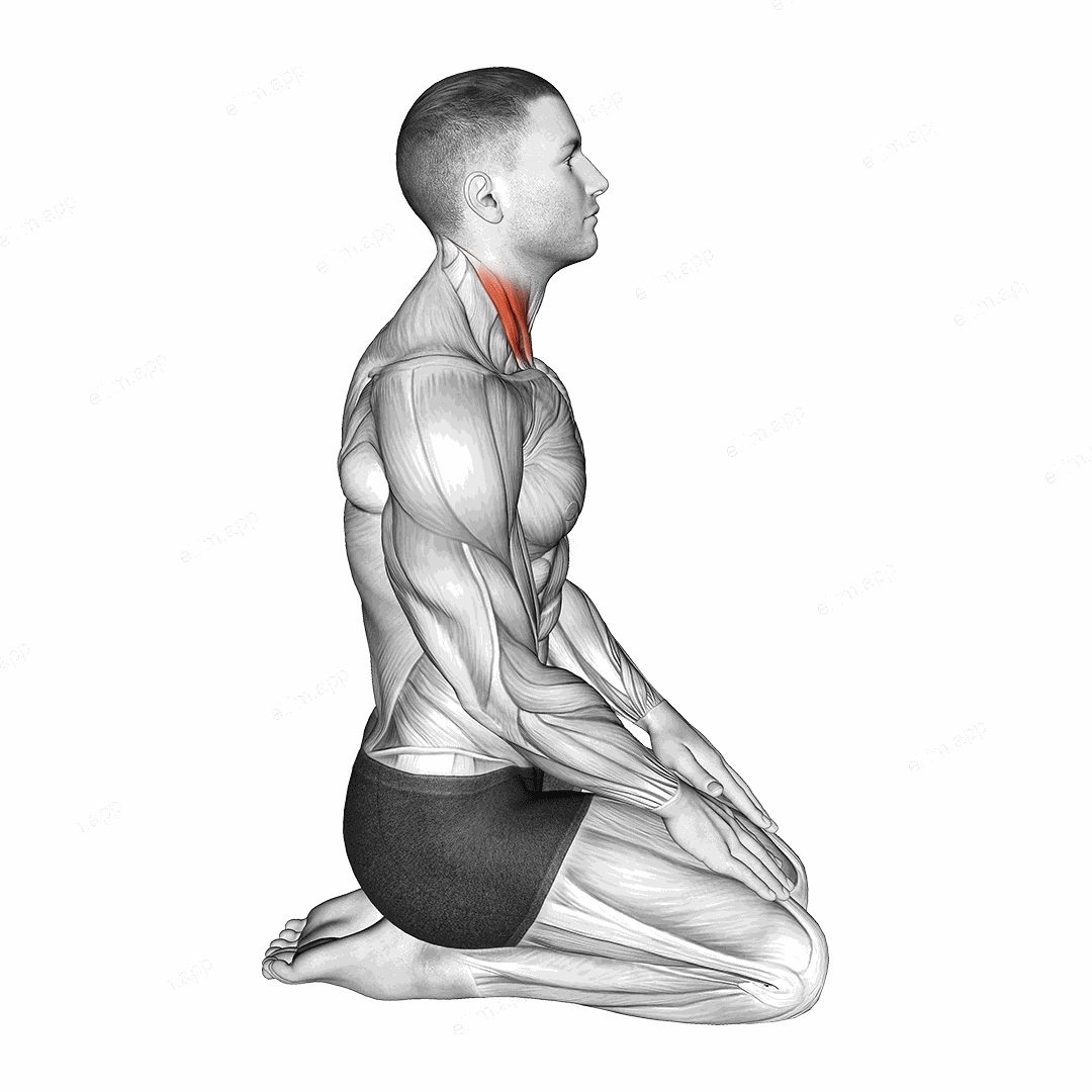 Seated Chin Tuck exercise targeting Neck