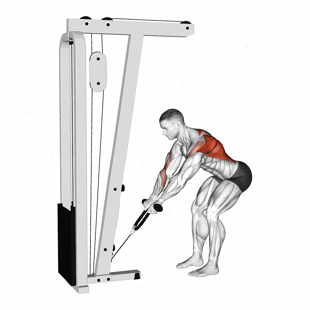 Cable Bent Over Row with Rope Attachment exercise targeting Back