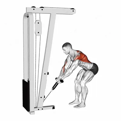 Cable Bent Over Row with Rope Attachment exercise targeting Back
