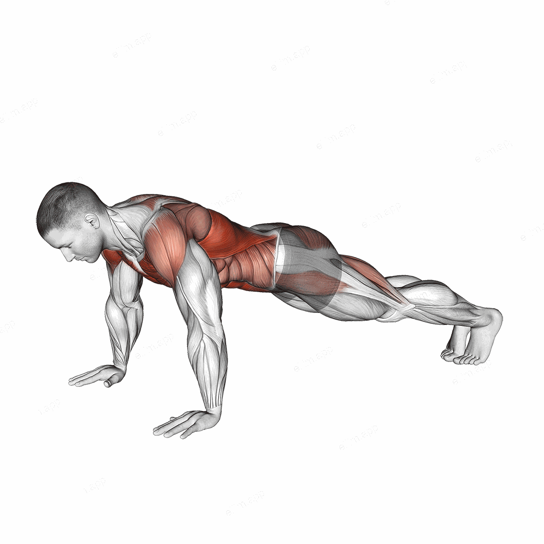 Bodyweight Front Plank to Downward Dog exercise targeting Plyometrics