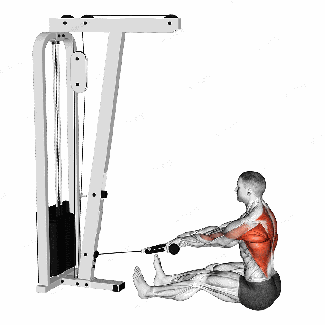 Cable Seated on Floor Row with Rope exercise targeting Back and Infraspinatus