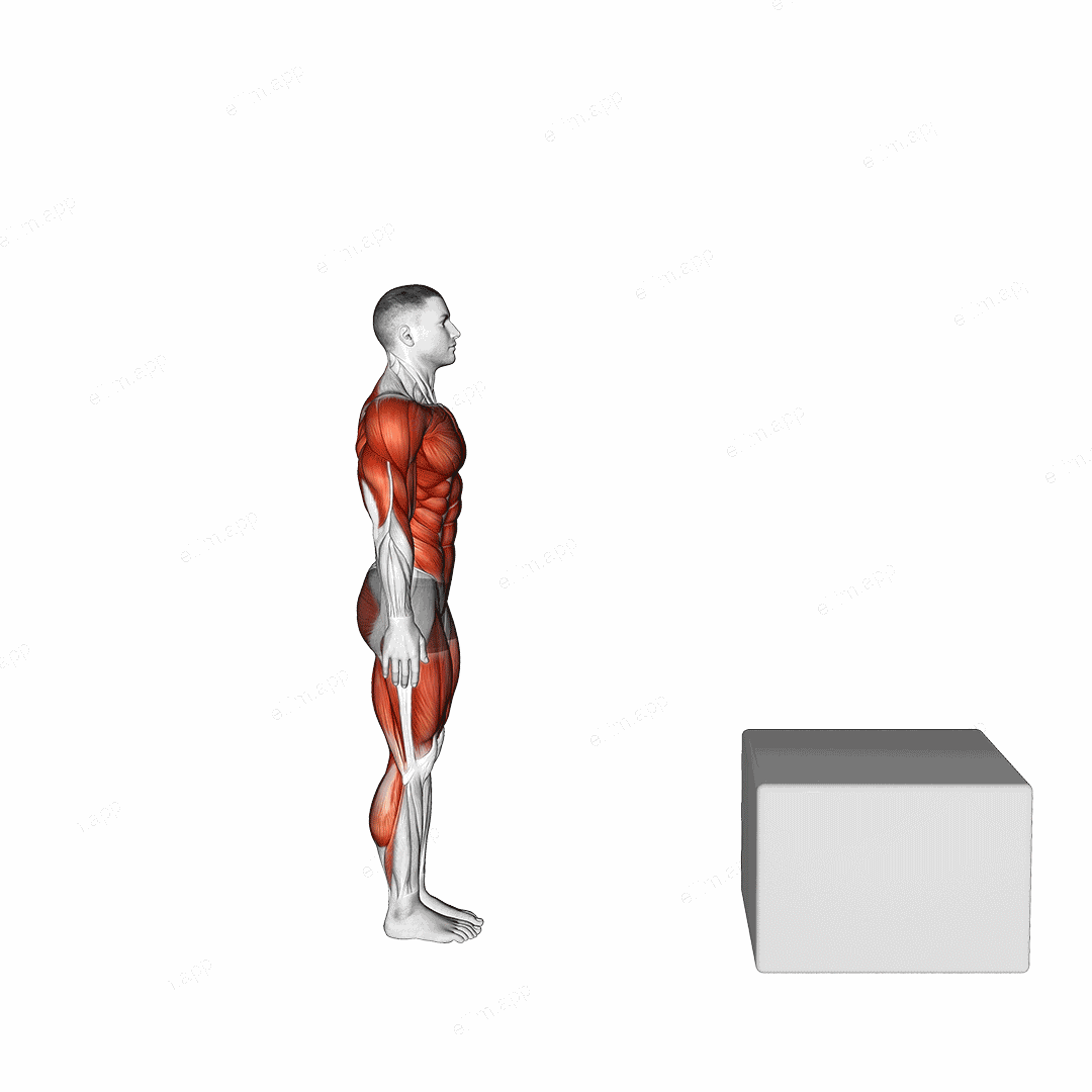 Burpee Jump Box exercise targeting Plyometrics