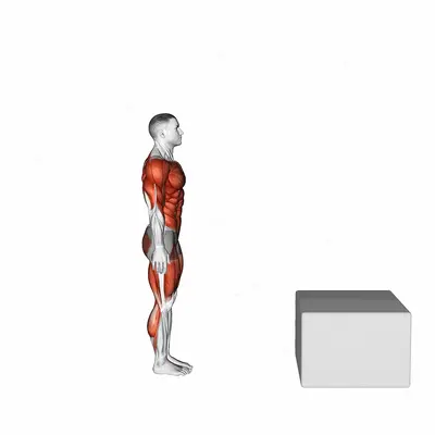 Burpee Jump Box exercise targeting Plyometrics