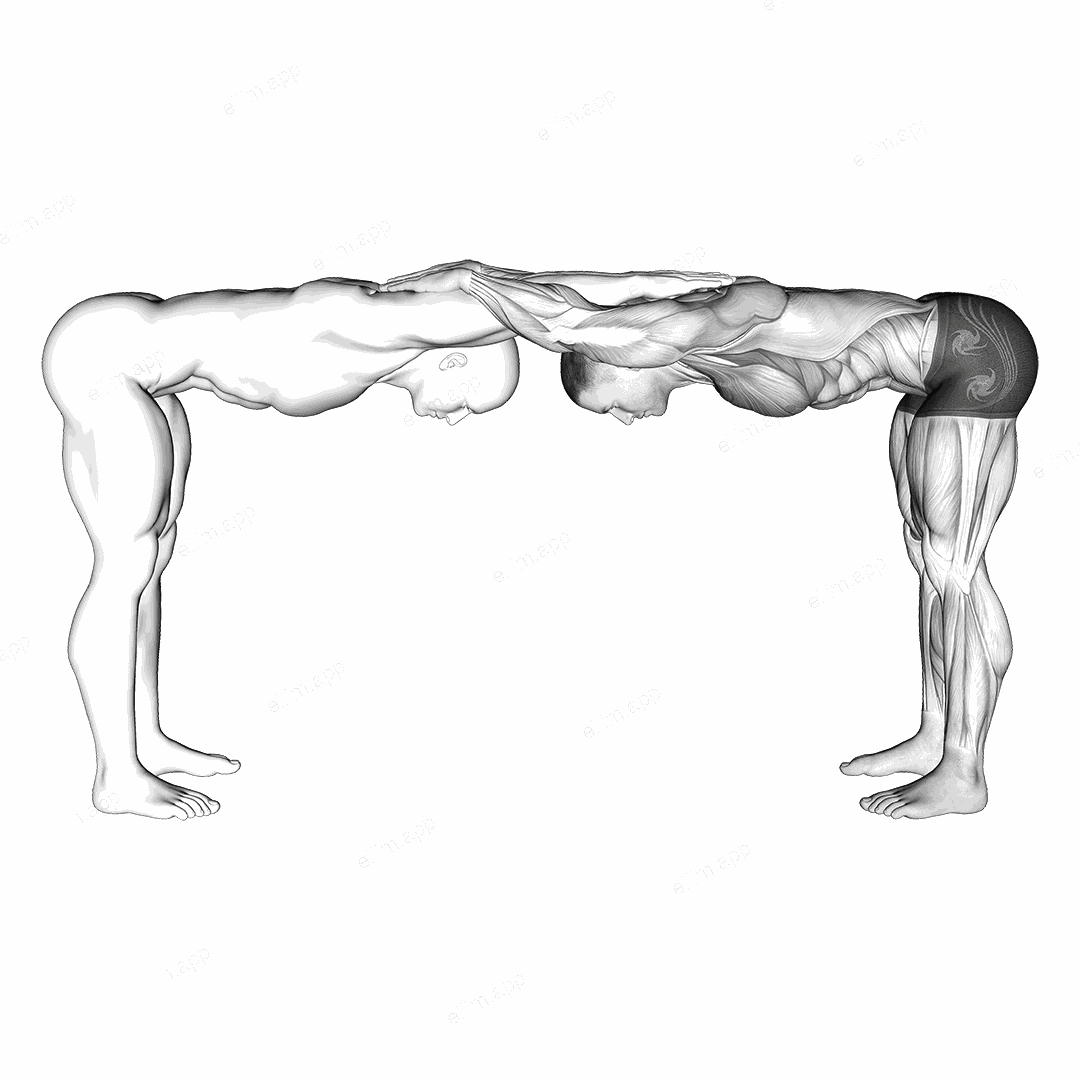 Assisted Trunk Flex Chest Stretch exercise targeting Chest