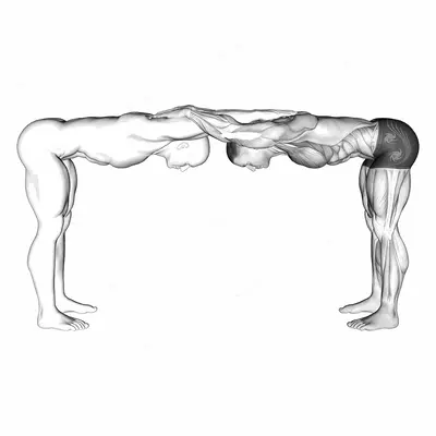 Assisted Trunk Flex Chest Stretch exercise targeting Chest