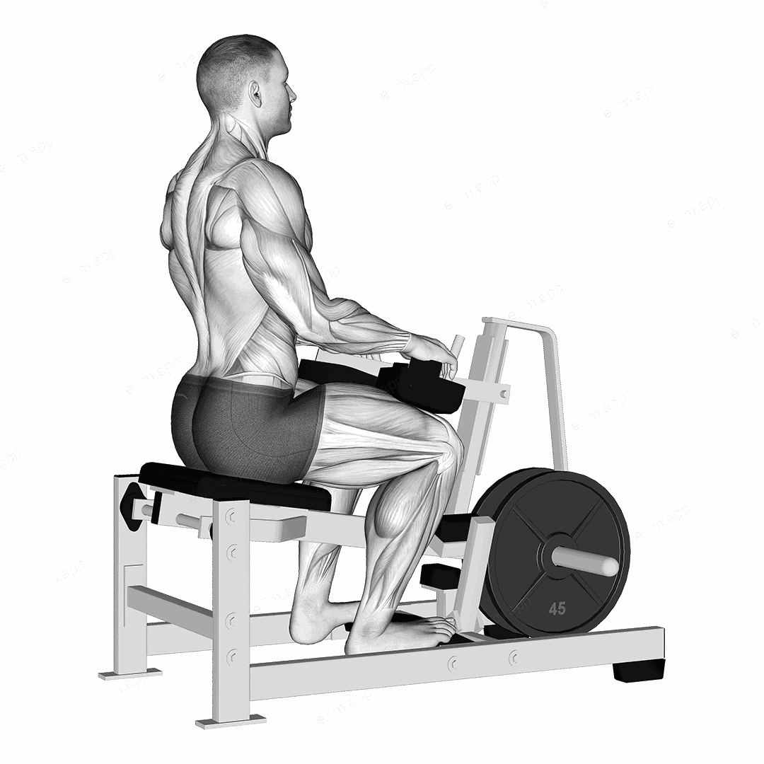 Lever Calf Stretch (plate loaded) exercise targeting Calves