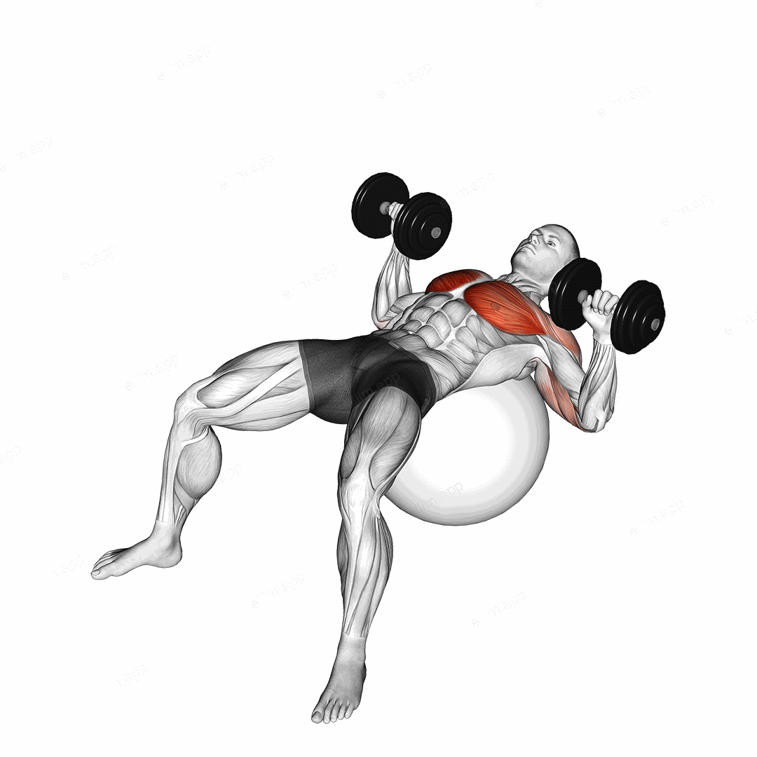 Dumbbell Press on Exercise Ball exercise targeting Chest and Pectoralis Major Sternal Head