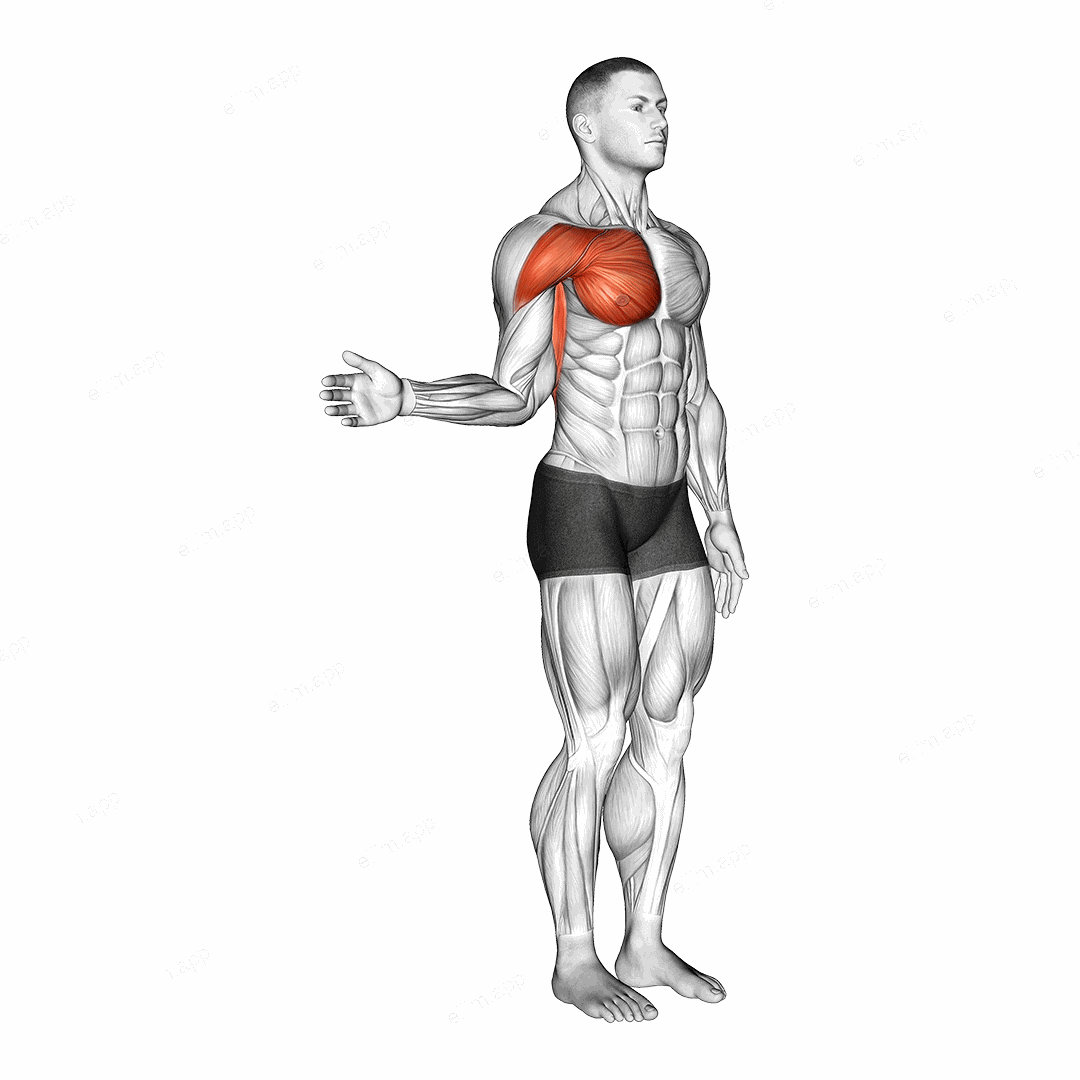 Shoulder - Medial Rotation (Internal Rotation) exercise targeting Shoulders