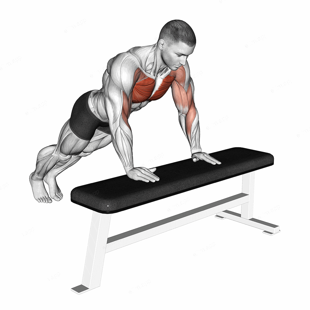 Incline Shoulder Tap exercise targeting Chest and Pectoralis Major Clavicular Head