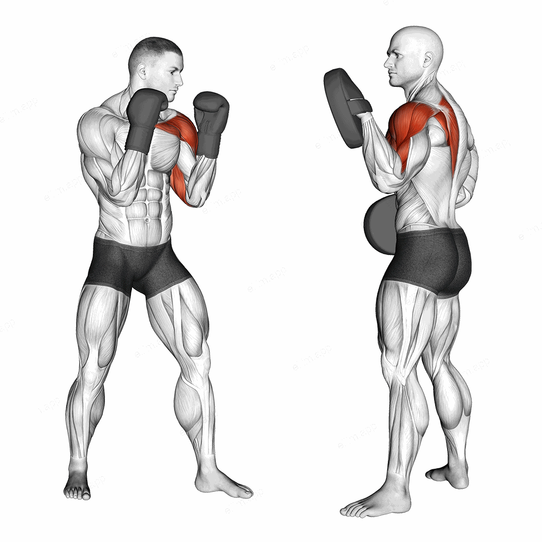 Boxing Jab (with partner) exercise targeting Plyometrics