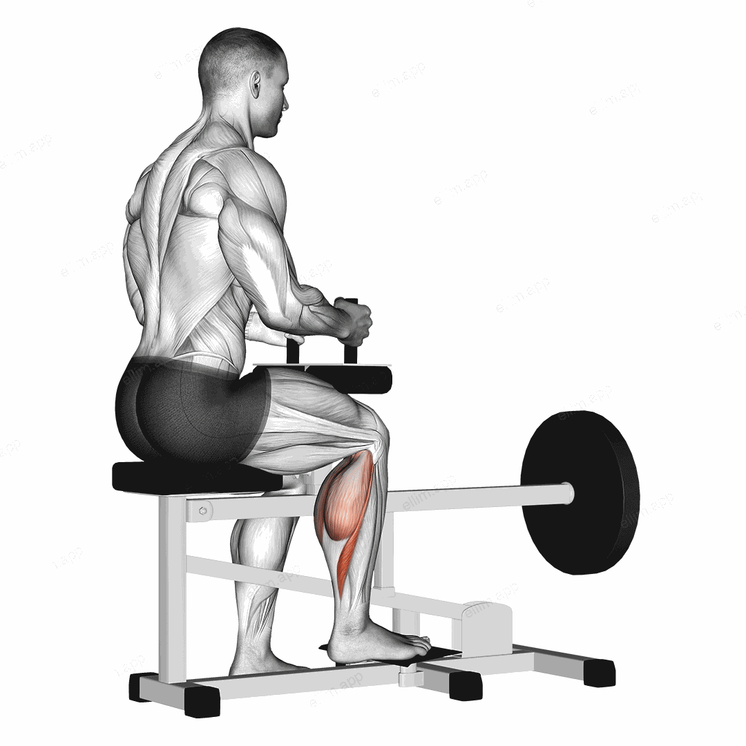 Lever seated one leg calf raise exercise targeting Calves and Soleus