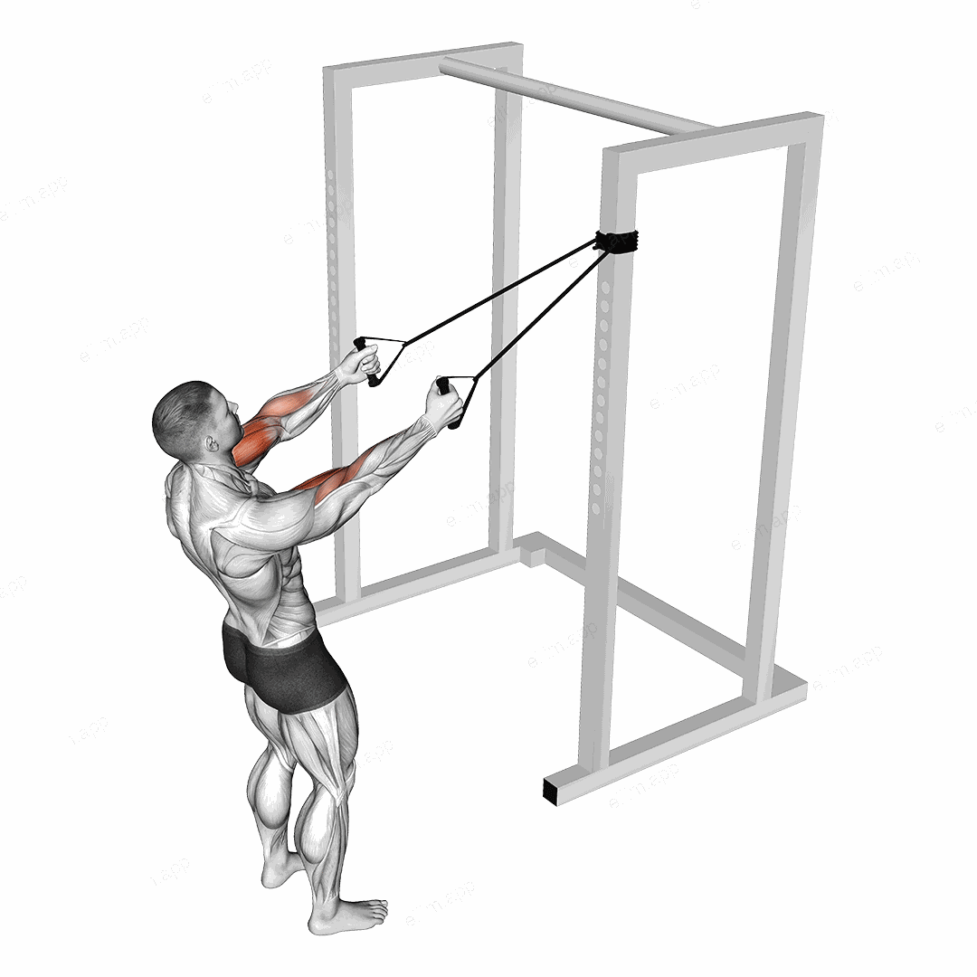 Band Cross Chest Biceps Curl exercise targeting Upper Arms and Biceps Brachii