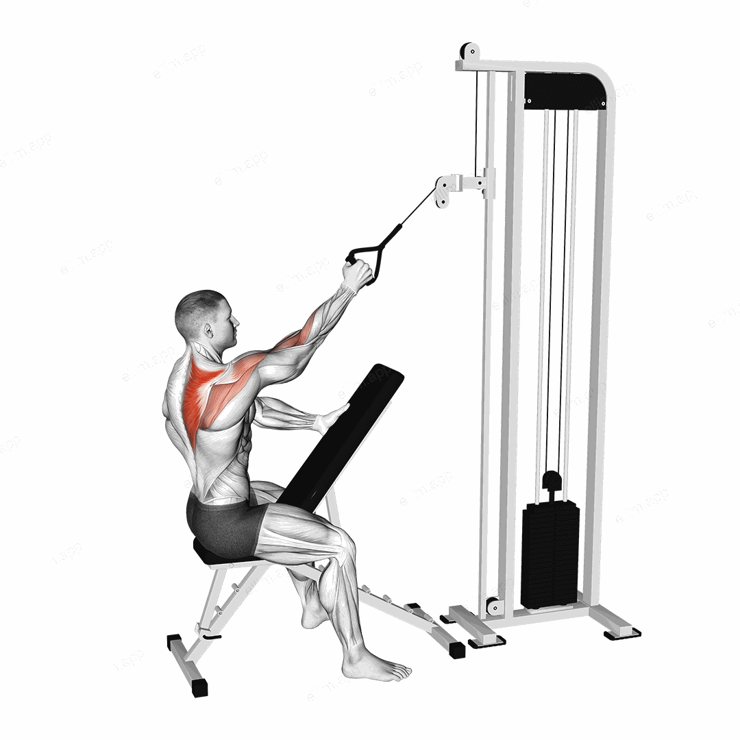 Cable Single Arm High Scapular Row exercise targeting Back