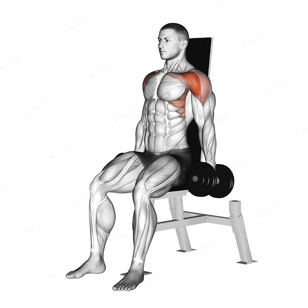 Dumbbell Seated Front Raise exercise targeting Shoulders and Deltoid Anterior