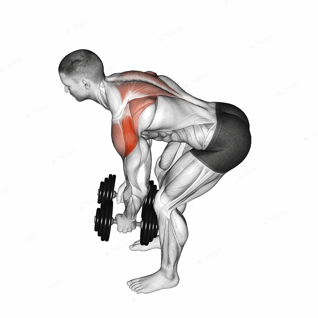 Dumbbell Rear Delt Fly (45 degrees) exercise targeting Shoulders and Deltoid Posterior