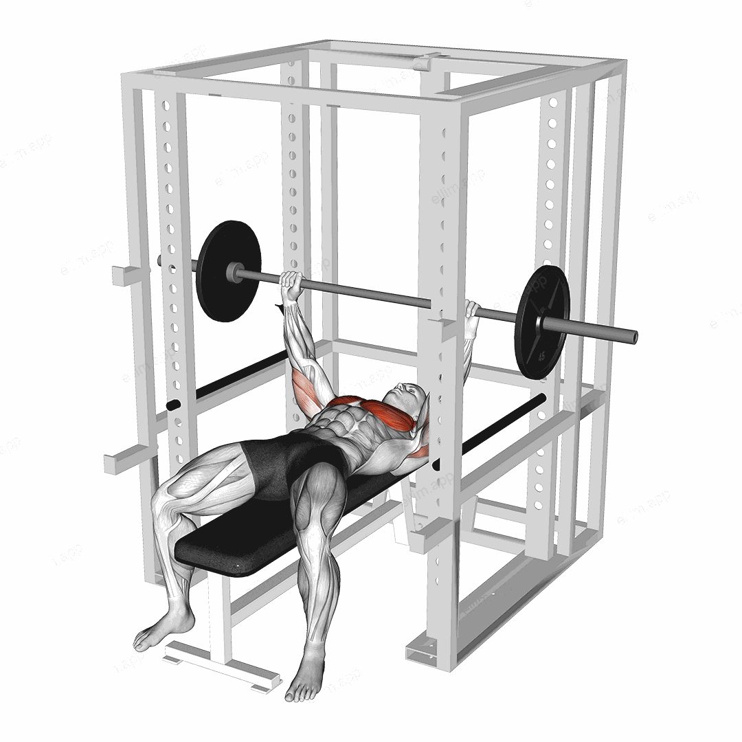 Barbell Pin Chest Press exercise targeting Chest