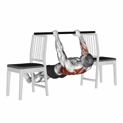 Inverted Row between Chairs exercise targeting Back and Infraspinatus