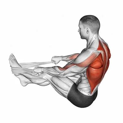 Seated Row with Towel exercise targeting Back and Infraspinatus
