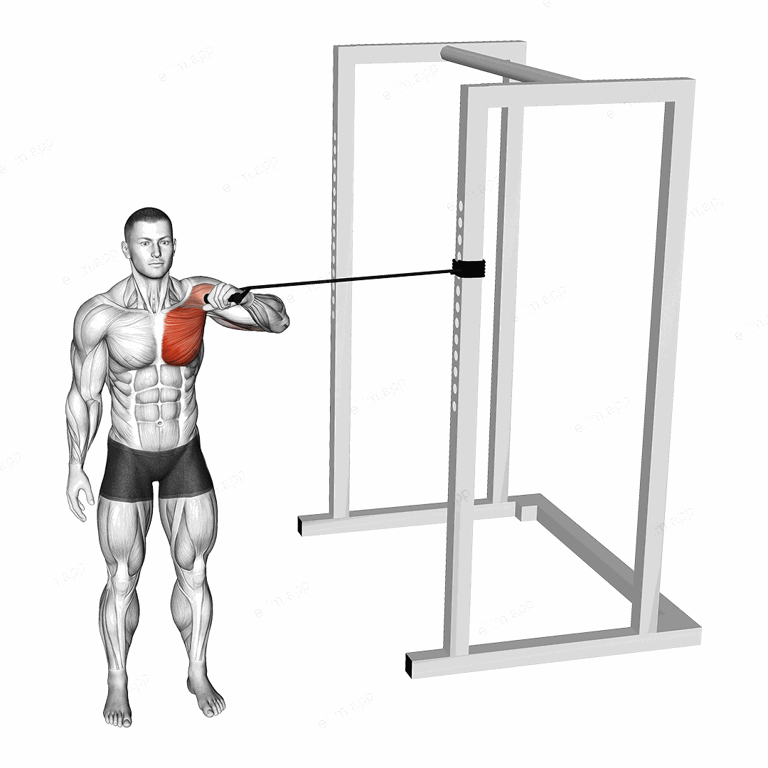 Band Cross Body One Arm Chest Press exercise targeting Chest and Pectoralis Major Sternal Head
