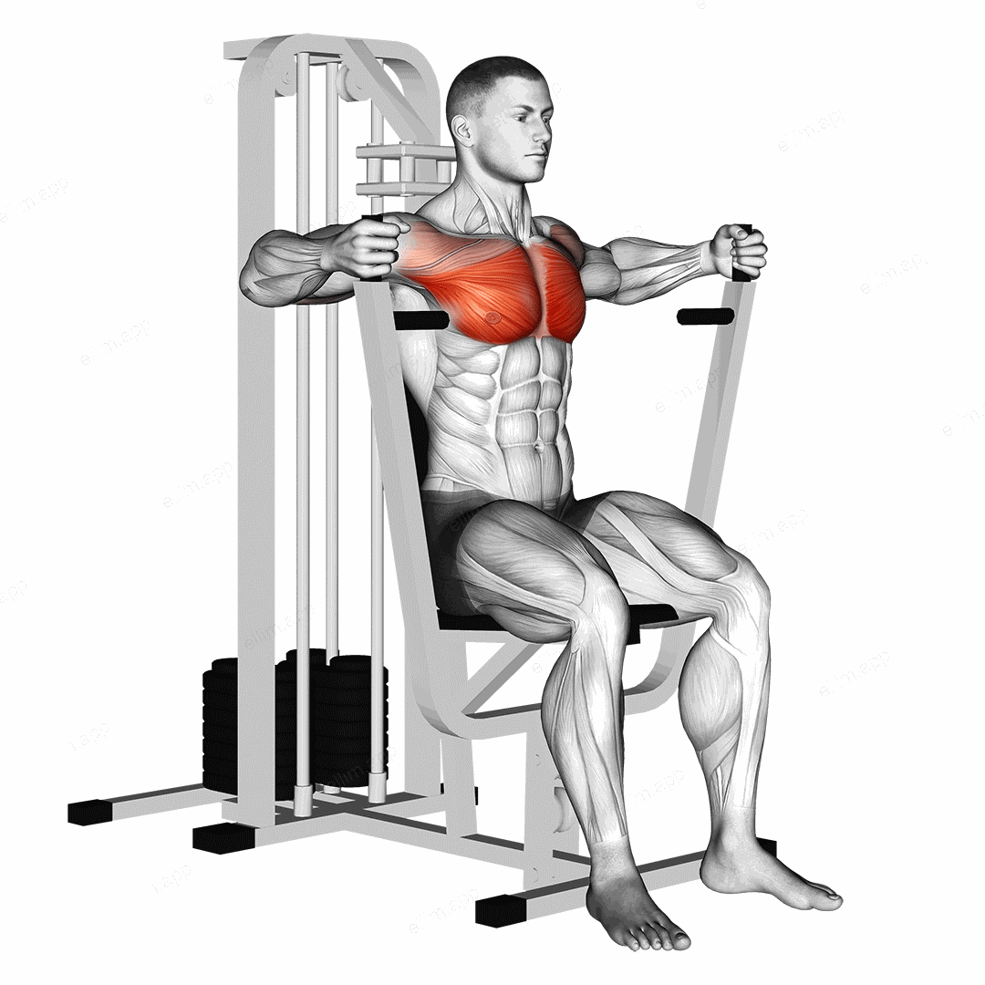 Lever Parallel Chest Press exercise targeting Chest and Gluteus Maximus