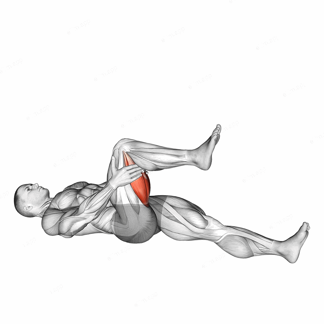 Hamstring Stretch exercise targeting Thighs and Hamstrings