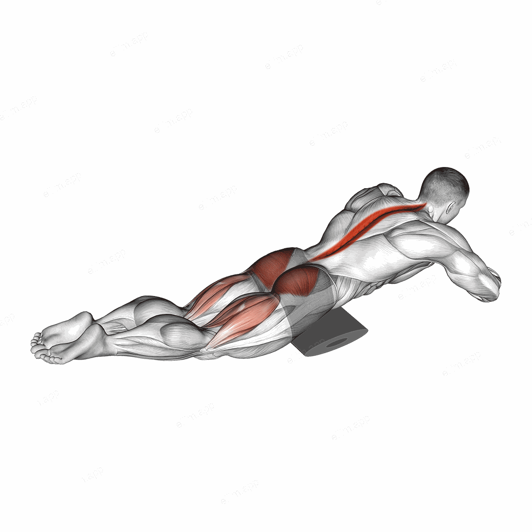 Reverse Back Extension on Floor exercise targeting Hips