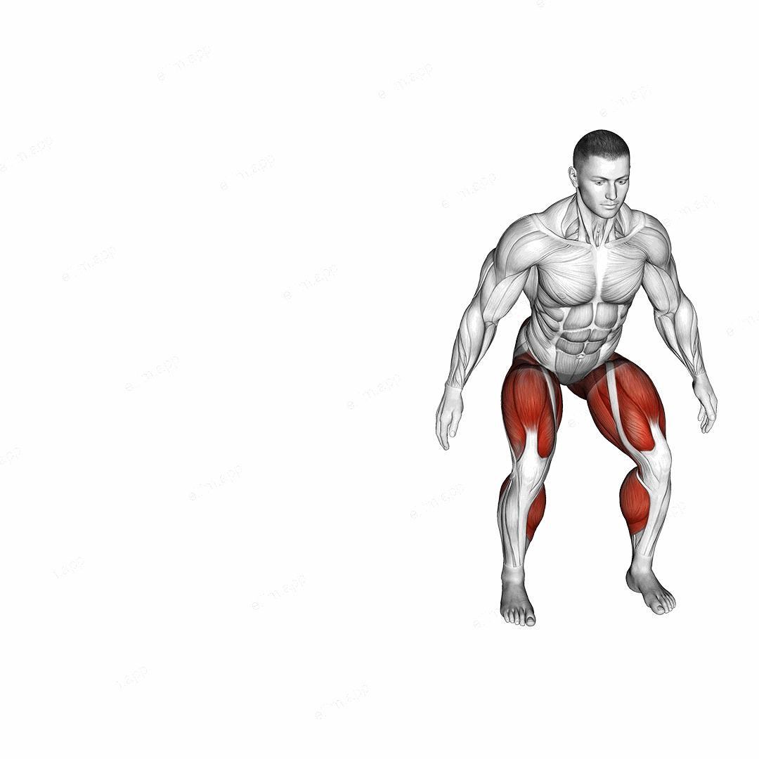 Shuffle exercise targeting Plyometrics