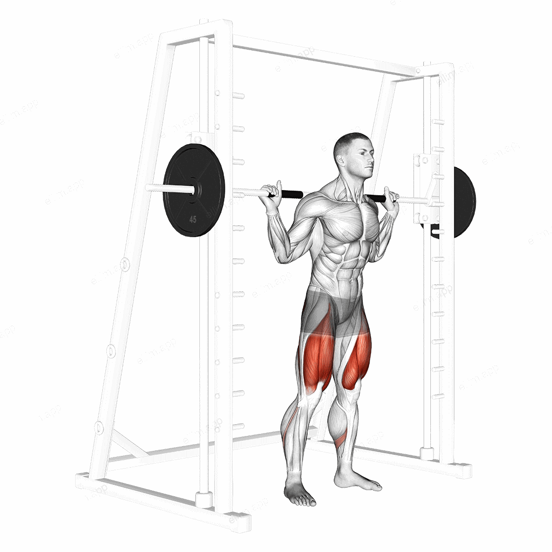 Smith Low Bar Squat exercise targeting Thighs and Gluteus Maximus