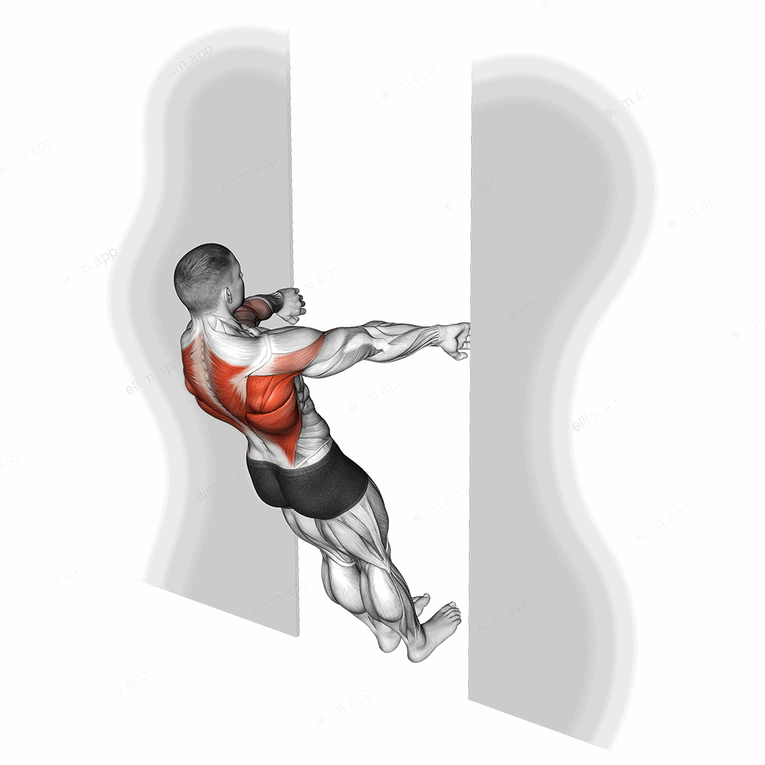 Bodyweight Row in Doorway exercise targeting Back and Infraspinatus