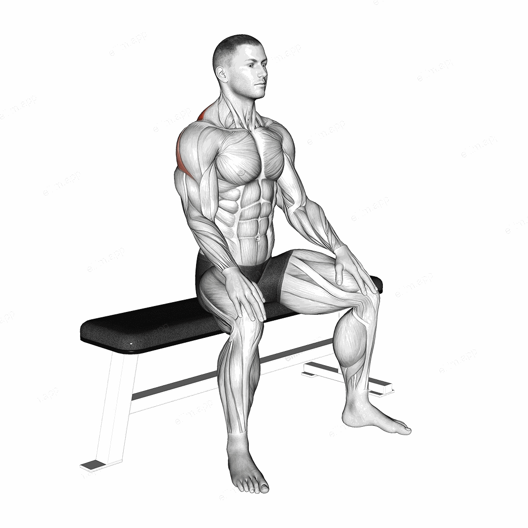 Seated Rhomboid Stretch exercise targeting Back