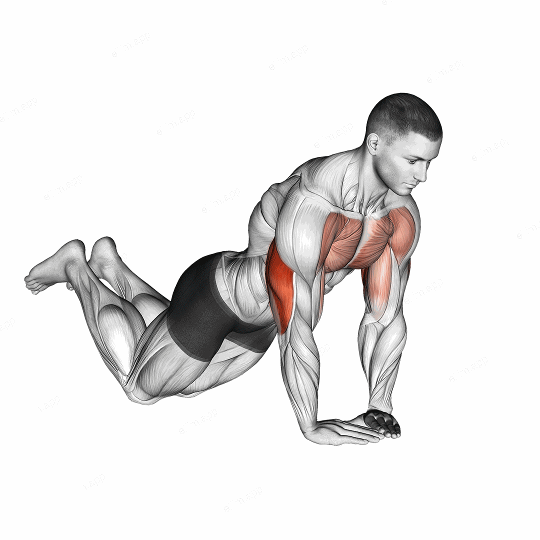 Diamond Push up (on knees) exercise targeting Upper Arms
