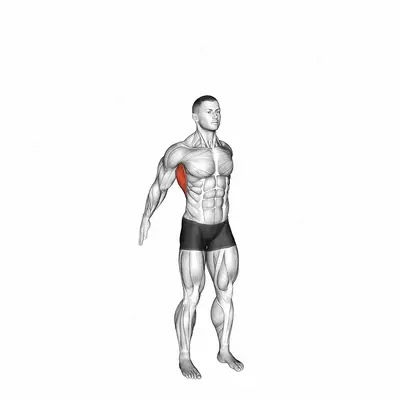 Dynamic Back Stretch exercise targeting Back and Latissimus Dorsi