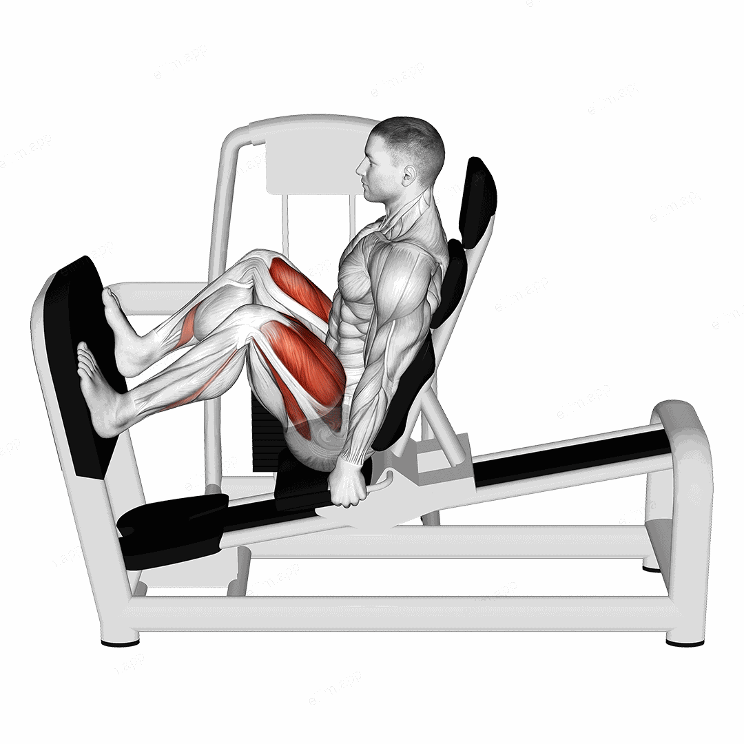 Lever Seated Wide Squat exercise targeting Thighs