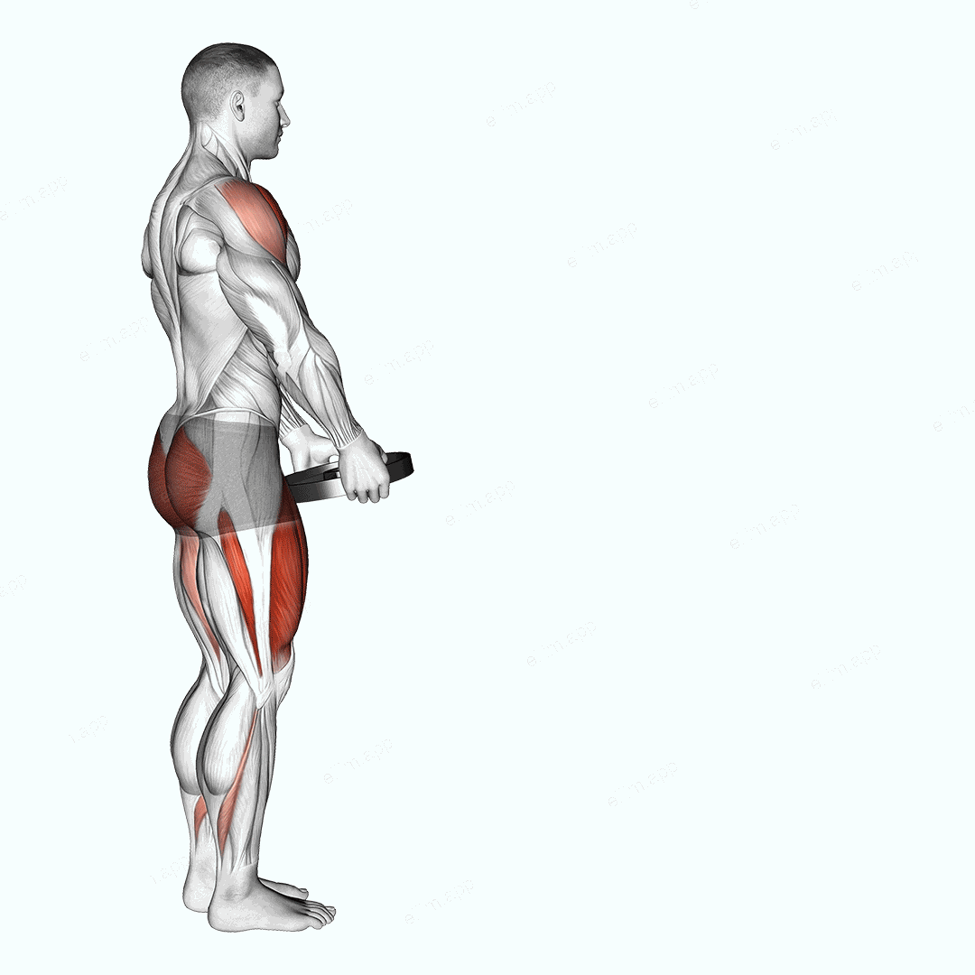 Weighted Lunge with Swing exercise targeting Deltoid Anterior and Gluteus Maximus
