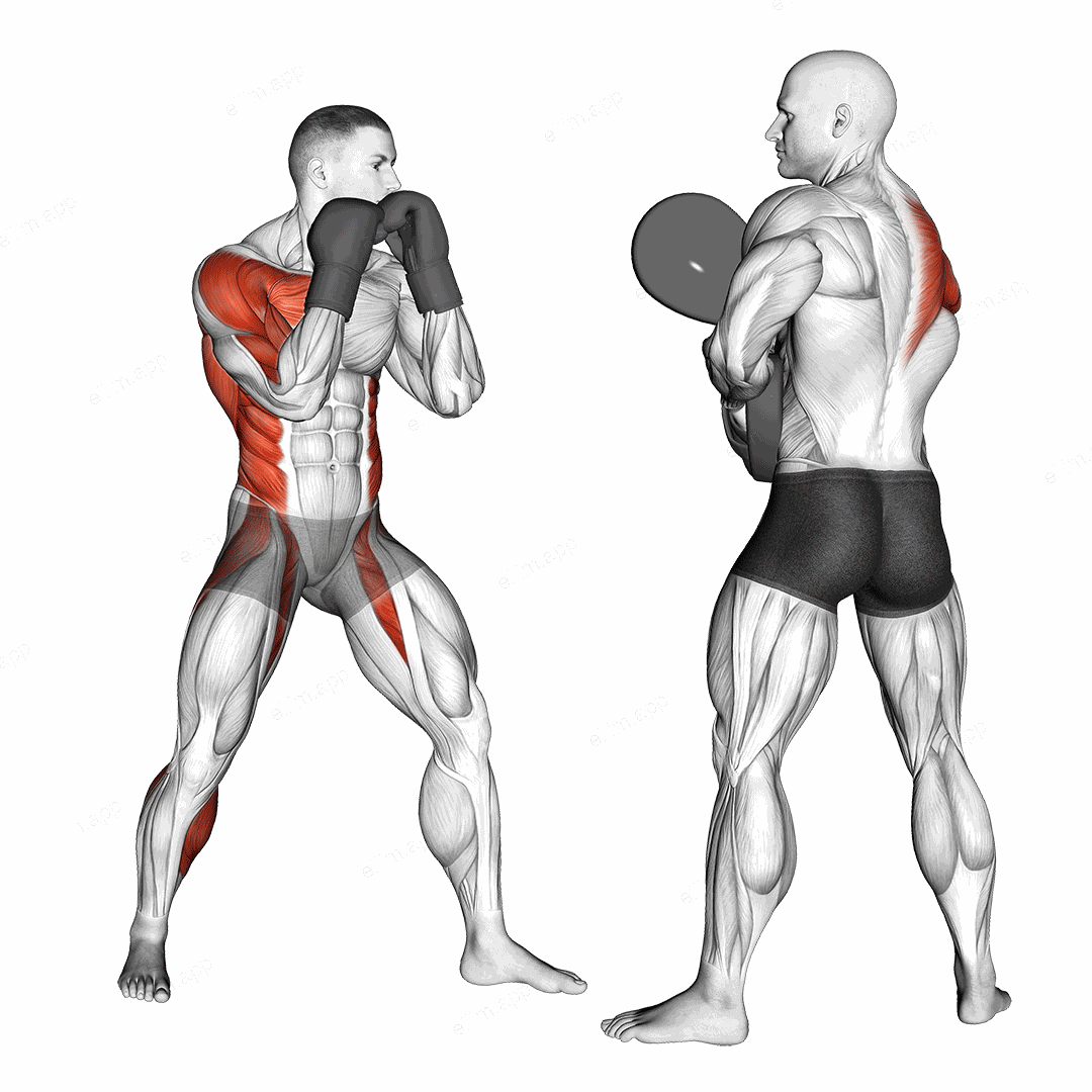 Boxing Right Hook (with partner) exercise targeting Plyometrics