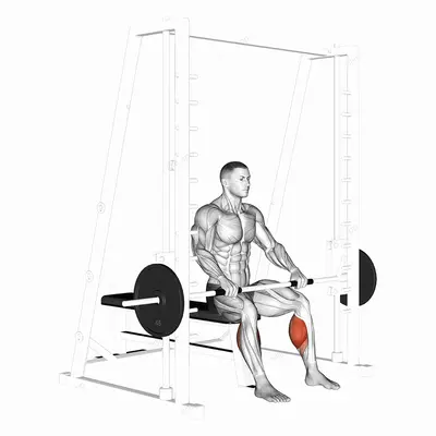Smith Toe Raise exercise targeting Calves and Gastrocnemius