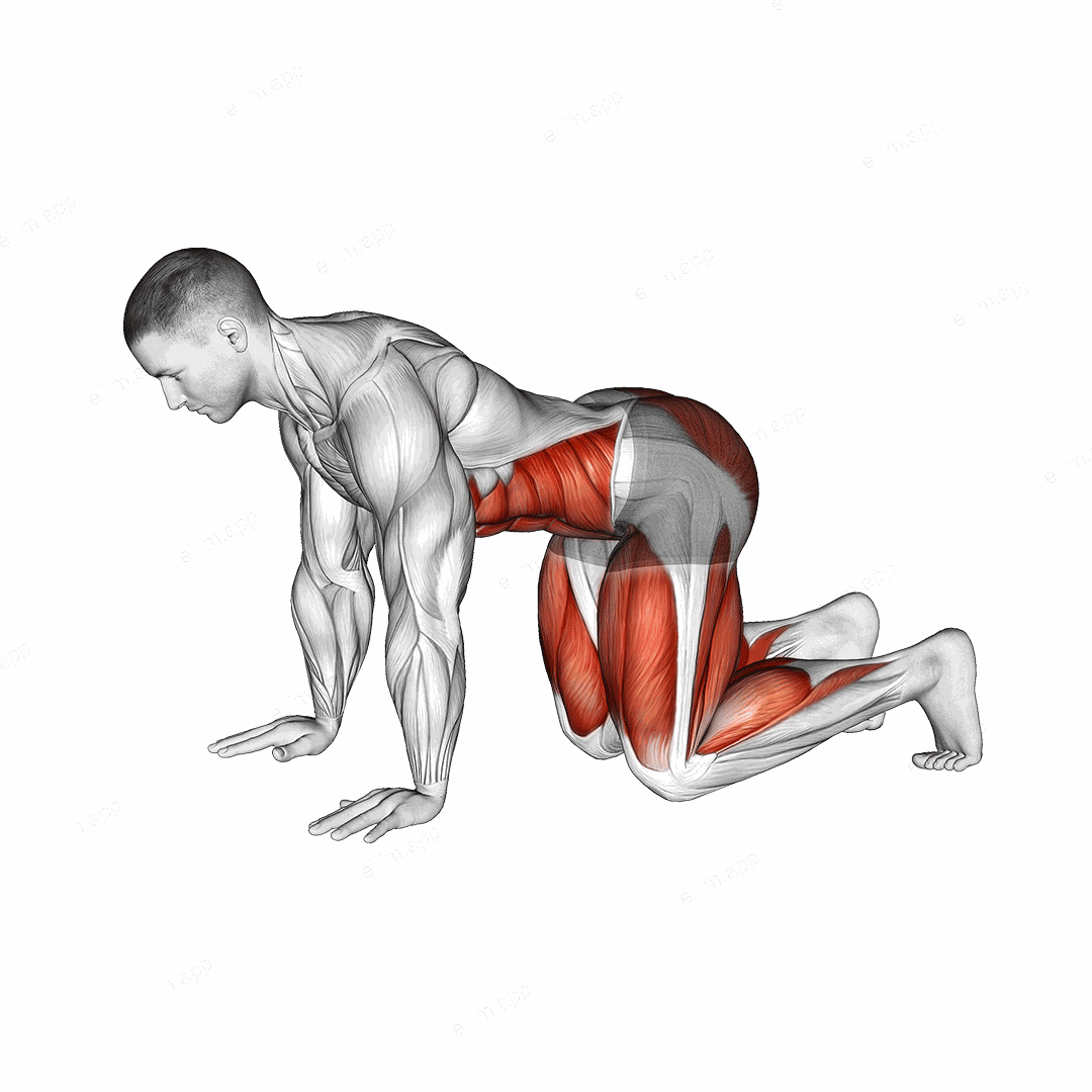 Bear Plank exercise targeting Waist