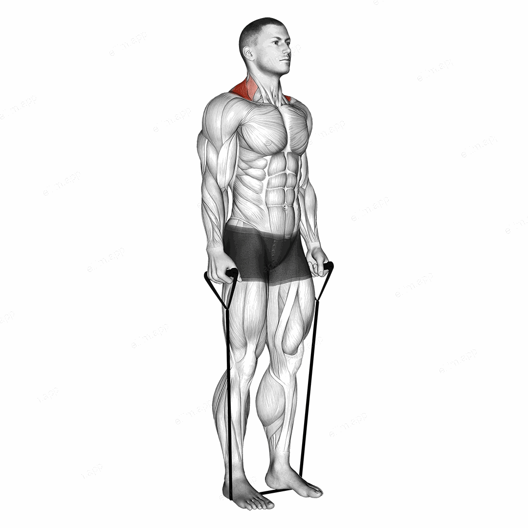 Band shrug exercise targeting Back and Trapezius Upper Fibers