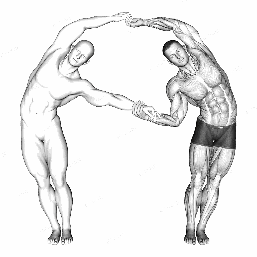 Assisted Side Bent exercise targeting 