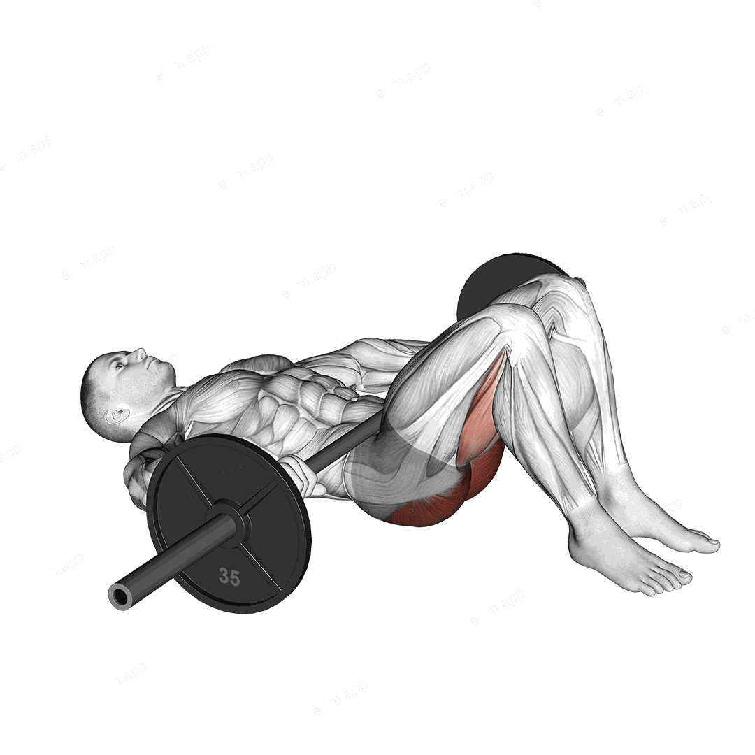 Barbell Glute Bridge (hands on bar) exercise targeting Hips