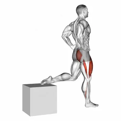 One Leg Squat exercise targeting Hips and Gluteus Maximus