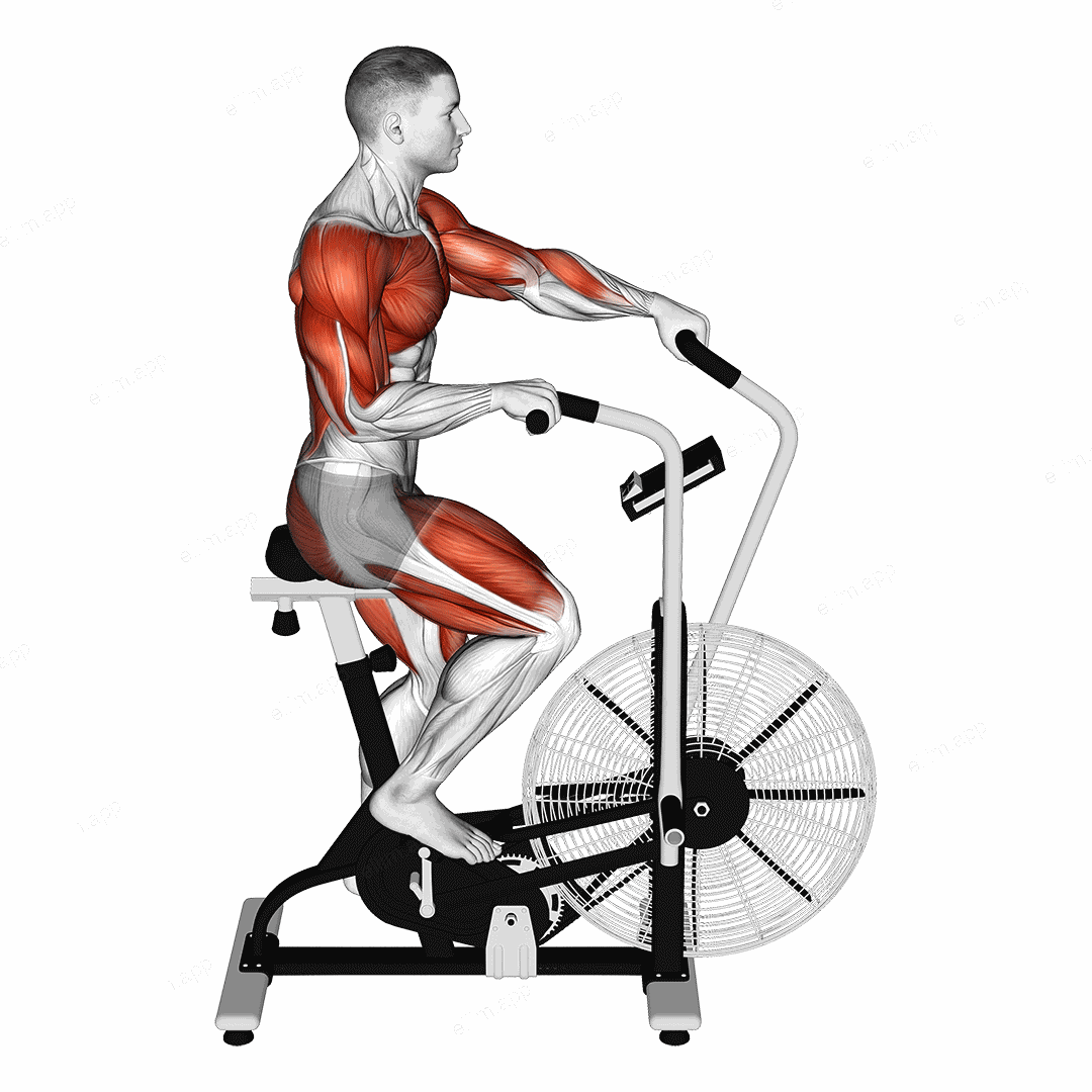 Cycle Cross Trainer exercise targeting Cardio
