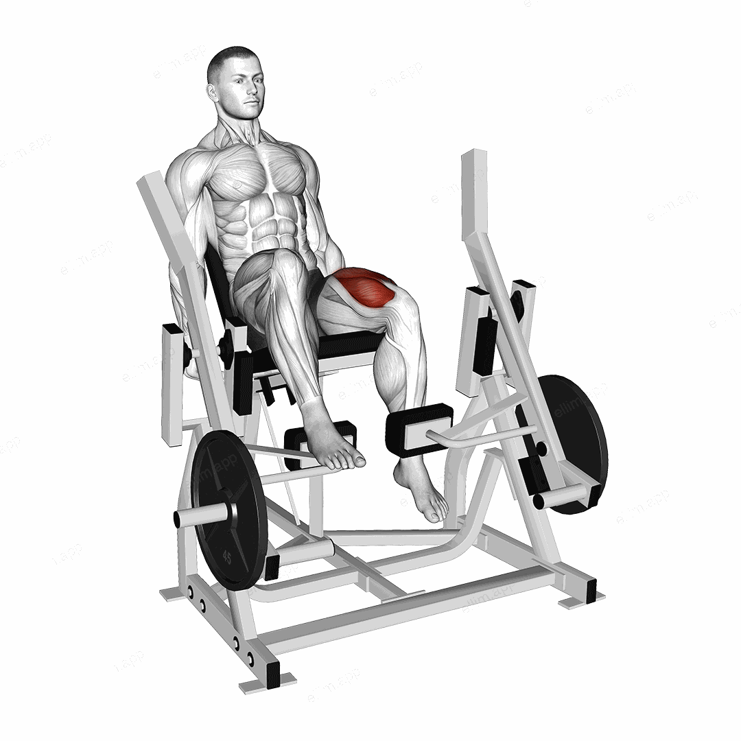 Lever Single Leg Extension (plate loaded) exercise targeting Thighs and Quadriceps