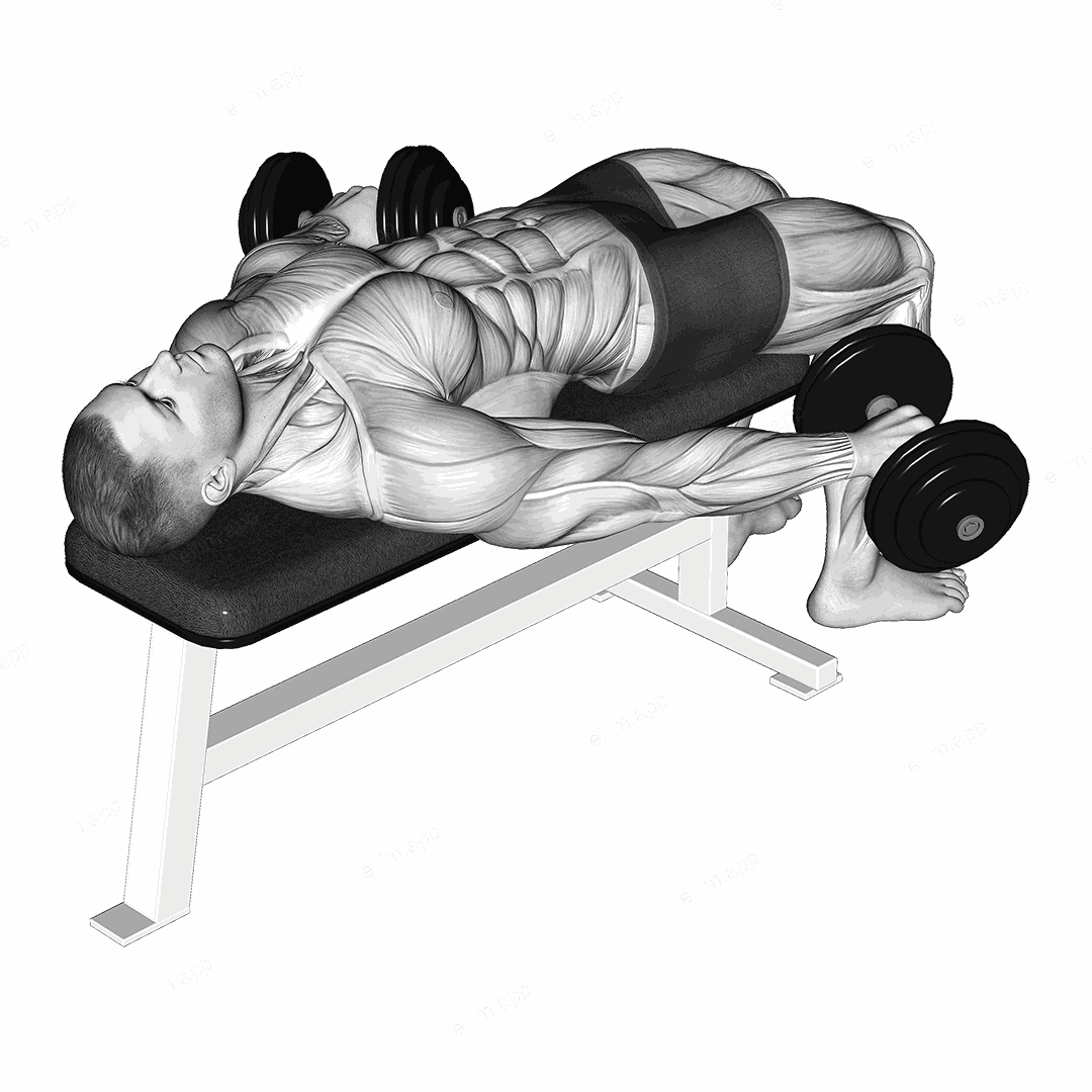 Dumbbell Lying Pronated Grip Maltese Hold exercise targeting Shoulders