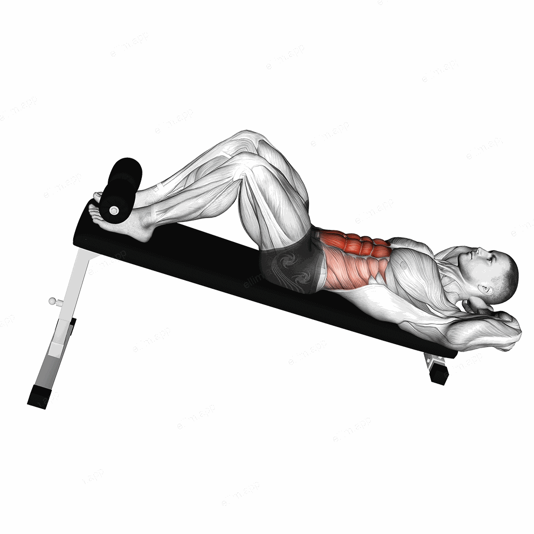 Decline Crunch exercise targeting Waist and Rectus Abdominis