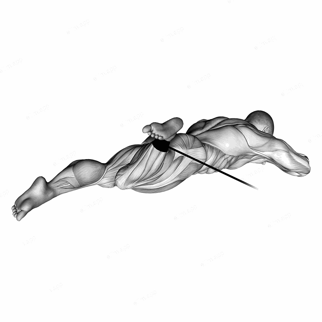 Band Lying Hip External Rotation exercise targeting Hips and Deep Hip External Rotators