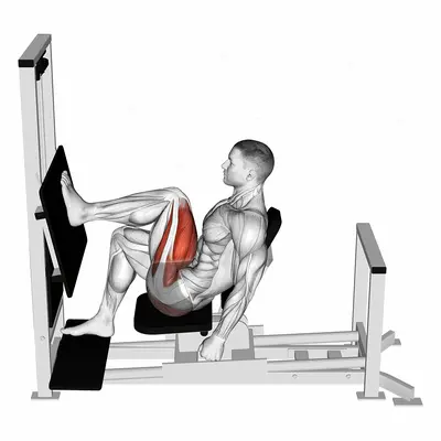 Lever Horizontal One leg Press exercise targeting Thighs and Gluteus Maximus