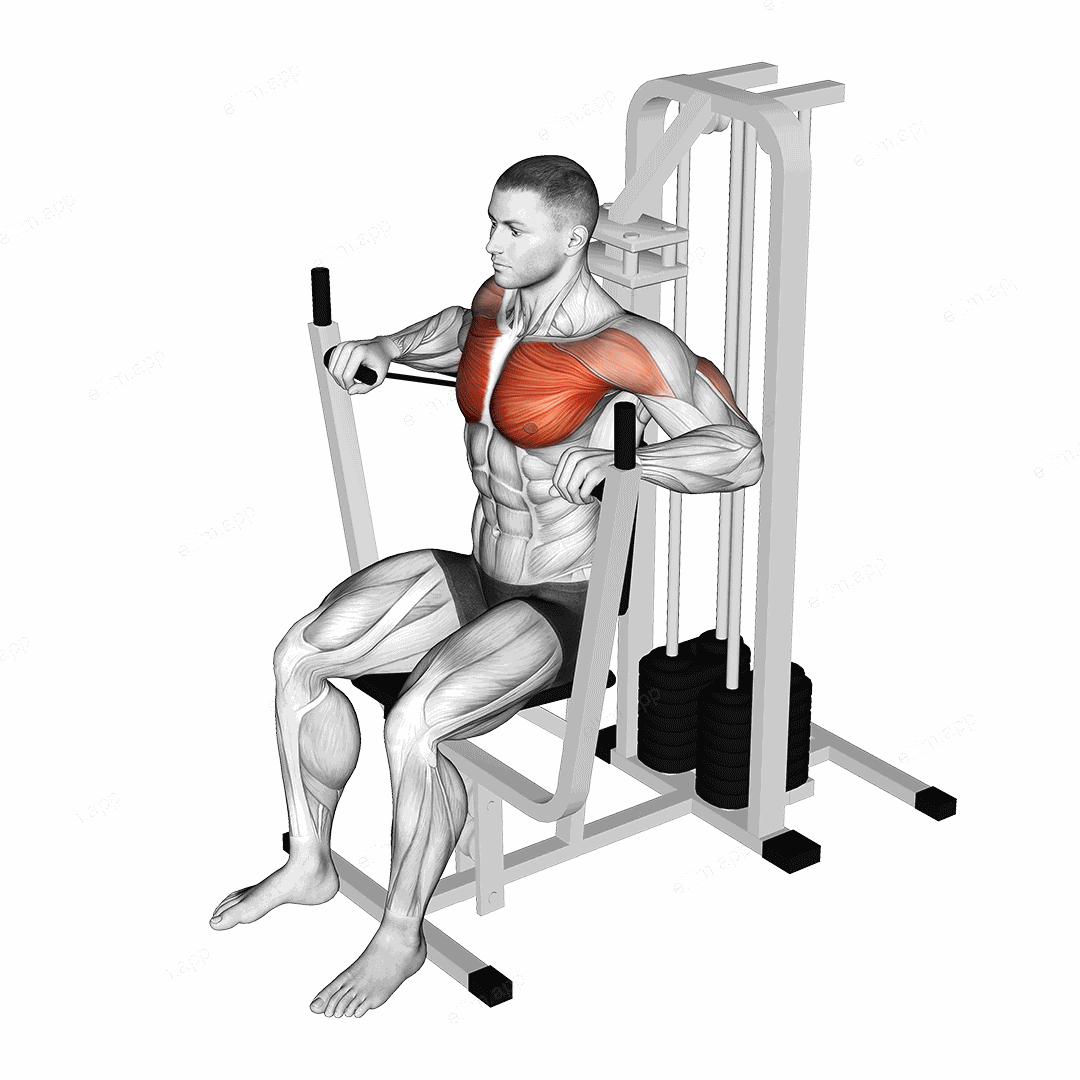 Lever Banded Chest Press exercise targeting Chest