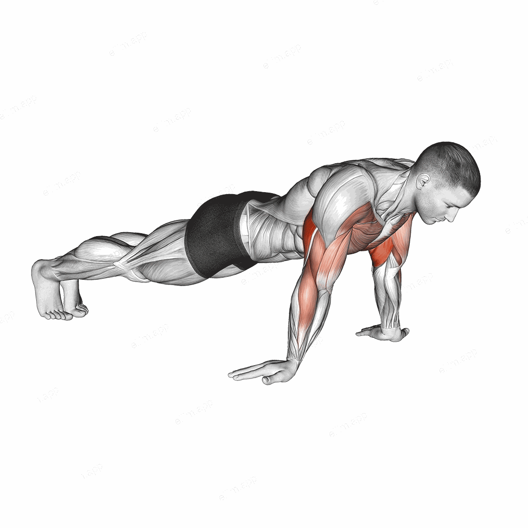 Reverse Push-up exercise targeting Upper Arms and Triceps Brachii